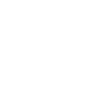 ALM Cars Ford logo