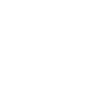 ALM Cars Nissan logo